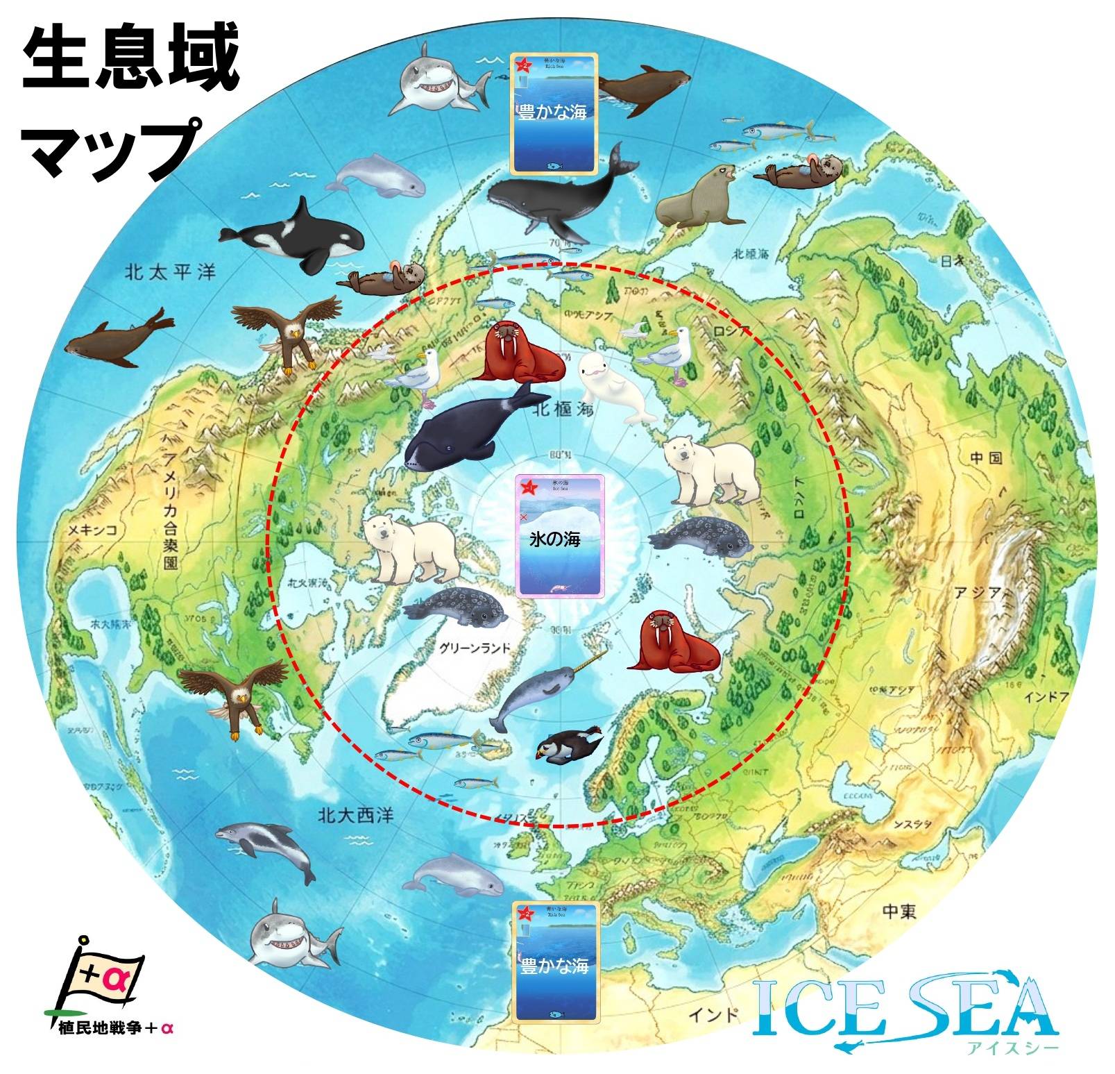 ★北半球の海の生き物★